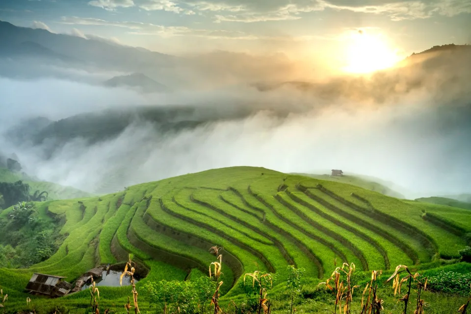 Kho gạo của Nguyễn Hữu Khánh